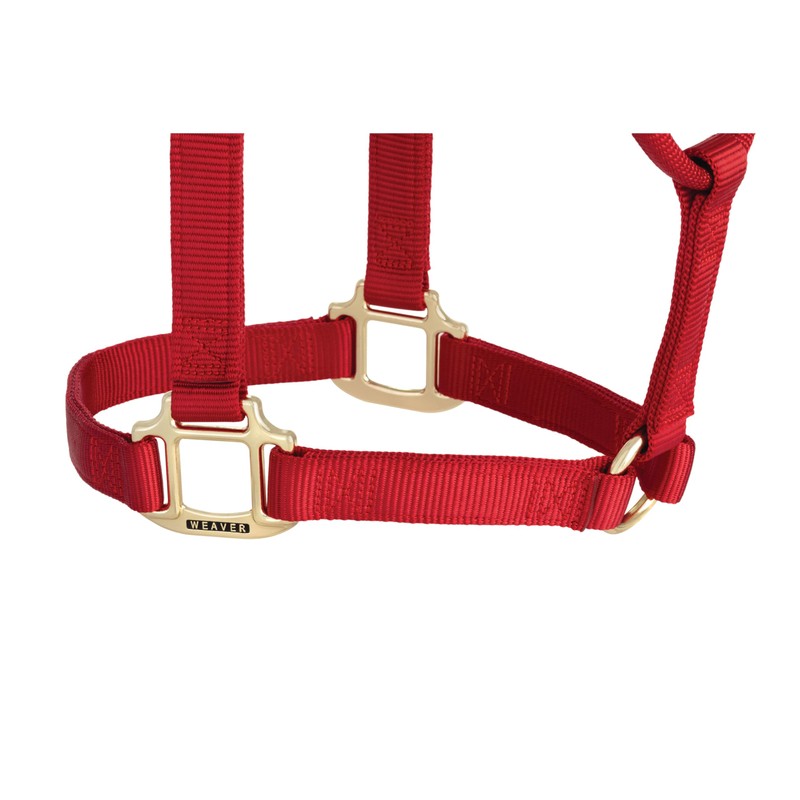 Weaver Leather Original Non-Adjustable Nylon Horse Halter, Large, Red