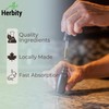 Herbity Herbity Burdock Root Tincture C Alcohol-Free Herbal Extract for