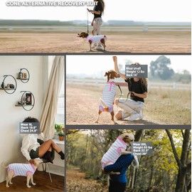 Wabdhaly Recovery Suit for Dogs,Dog Cone Alternative Zipper Surgery Suit Female Spay,Soft Dog Surgery Suit for Anti Licking,Breathable Surgical Suit for Dogs Female Spay