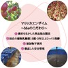Marica Apothecary Fasting, 75 Selected Vegetables and Fruits, Additive-Free Enzyme