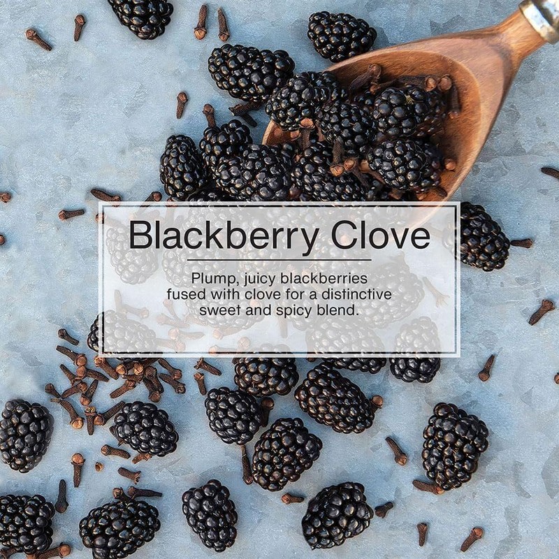 Little Trees BlackBerry Clove 24 Pack
