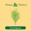 Tadin Lemongrass Herbal Tea, Caffeine Free, 24 Tea Bags Per
