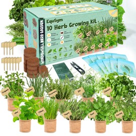 10 Herb Window Garden Kit Indoor - Herb Seeds for Indoor & Outdoor Gardening, Seeds for Planting, Gardening Gift for Kid Mother's Day Women, Complete Herb Growing Kit with Pots, Soil, Basil, Mint