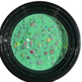 REMELTABLE Picking Pals Circles filled with beads Acrylic:_Large Green Circle
