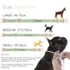 Wolfone Waterproof Dog Collar with Quick Release Buckle， Cute Adjustable
