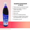 Shampoo Matizador Morado Para Canas Rubios Y Beige Sin Sal