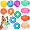 Suilung 12 Pcs Spiky Dog Squeaky Football Toys 4.5'' Dog