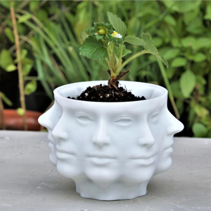 QUINTRA Succulent Planter with Faces, Small Face, Face Vase, Home