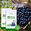 Lipsa Shine Bilberry C-136-2 (90 Capsules x 2 Bags), Supplement,
