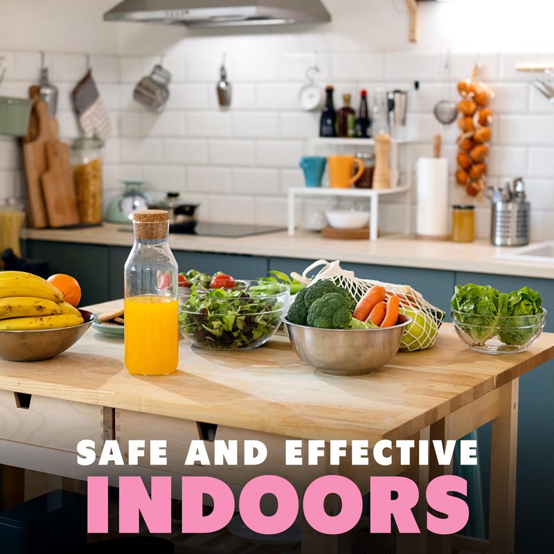 NatureStop Ant Killer Spray for Indoor Use, Fast-Acting Ant Control,