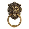 Forge Hardware Studio Brass Lionhead Door Knocker - Brass Home