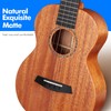 Enya Tenor Ukulele 26" all Solid Mahogany with Cherry Blossom