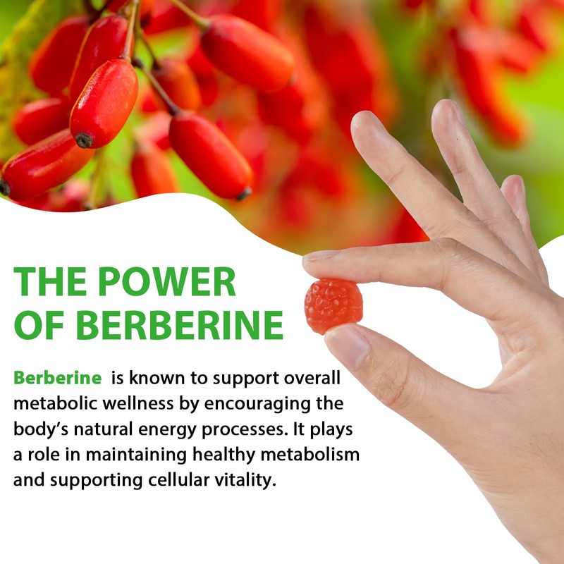 Berberine Gummies with Ceylon Cinnmon, Berberine Supplement for Digestive Health,