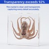 Real Octopus Specimen in Clear Resin Block – 3" x