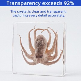 Real Octopus Specimen in Clear Resin Block – 3" x 3" x 1" – Preserved Marine Biology Display for Science Classrooms, STEM Education, Ocean Study & Unique Collectible Gifts