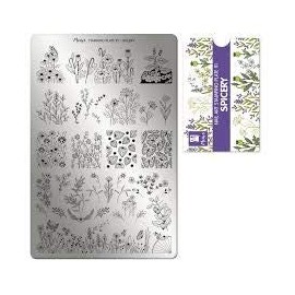Moyra Stamping Plates No 91 "SPICERY Nail Stamping plate