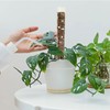 Plant Plastic Moss Pole Moss Supports Climbing Plant Poles Tortoise