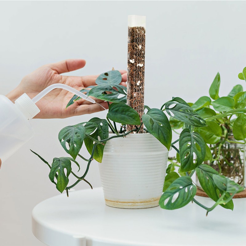 Plant Plastic Moss Pole Moss Supports Climbing Plant Poles Tortoise