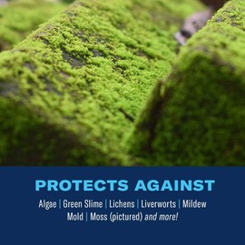 BioAdvanced 2-in-1 Moss and Algae Killer for Lawns, Roofs, Patios, Decks, Roof Moss Killer, Deck Cleaner and Mildew Remover, 32 oz