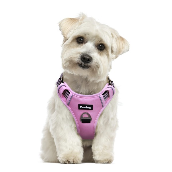 Funfox Dog Harness Small No Pull, Adjustable 2 Clips Anti-Pull