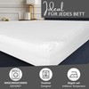 Leonado Vicenti Classic Fitted Sheet, 100% Jersey Cotton, in Many