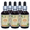 Job's Tears (Coix Lacryma-Jobi) Tincture, Organic Dried Grains Liquid Extract
