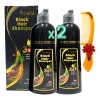 2 Pzas Shampoo Tinte Cubre Canas Natural Jengibre 500ml F