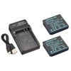 NinoLite 4点セット DB-60 互換 バッテリー 2個 +USB型 充電器 +海外用交換プラグ dc68db60x2_t.k.gai