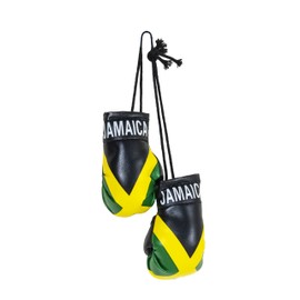 SandT Collection Country Flag Mini Boxing Gloves - Hanging Punching Gloves (Jamaican)