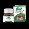 A.Vogel Echinaforce