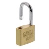 Burg-Wächter Cylinder Padlock [Pack of 1 Carat 217 30/6 SB