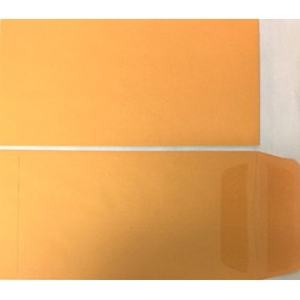License Plate Envelopes - Blank Self Seal (100 Qty) (P3)