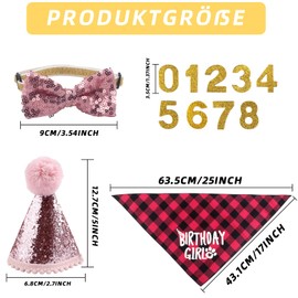 Pack of 4 Cat Birthday Accessories, Cat Birthday Hat with Numbers, Collar Scarf for Home Birthday Accessories