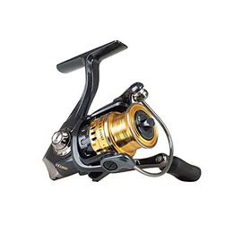 Abu Garcia Carabus AG SX Spinning Reel, Fishing Reel, Spinning Reels, Allround Fishing, Area Game, Trout, Perch and Mini Species, Unisex, Grey/Gold, 2000