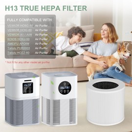 Luripid 2 Pack Replacement Filte-r Compatible with VEWIOR Air Purifie-r HQSC-50 HQKJ-80 A1 A1W, AMEIFU AP01W, KOIOS HQKJ-50 Air Purifie-r, 3-in-1 H14 True HEPA Air Filte-r