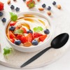 CREATIVECHEF Kunz Spoons, Chef Kunz Cooking Spoons, Stainless Steel Titanium