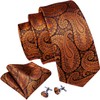 Barry.Wang Burnt Orange Black Tie for Men Paisley Silk Necktie