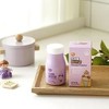 Enfant Chewable Children Infant Kids Lactobacillus 60 tablets / 앙팡