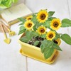 Seishin Pottery GD-93201 Enjoy Planter, Mini Sunflower Flower