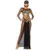 Leg Avenue Goddess Isis Costume (Medium, Black/Gold)