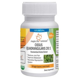 Cissus Quadrangularis 20:1 Extract - 500mg - 60 Vegan Capsules - Helps with Osteoporosis