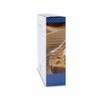 Gourmet Pumpkin Bread from Southern Living – Original Recipe for