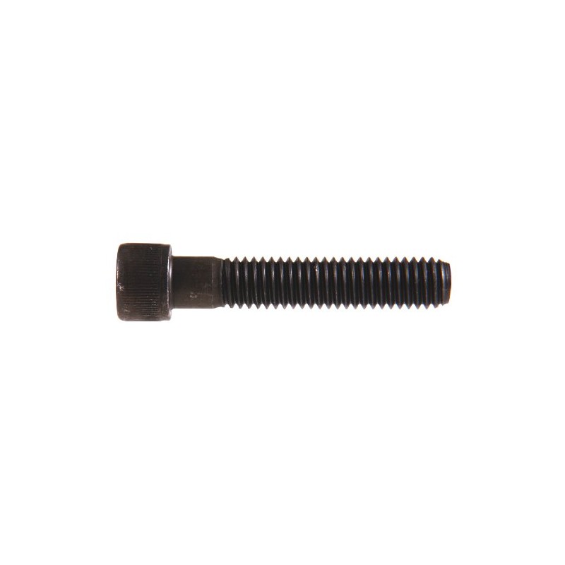The Hillman Group 43518 5/16-24-Inch x 3-Inch Socket Head Cap