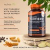 Nutravita Organic Turmeric 1440mg with Black Pepper & Ginger (2