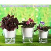 3 Packs 7" Large Clear Self-watering Planters African Violet Pots