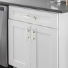 10 Pack 5 Inch Brushed Nickel Cabinet Handles, Square Kitchen