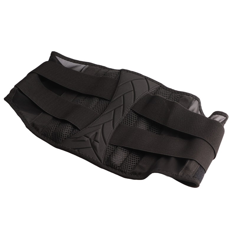 Gym Belt V Shaped Spine Support Squat Belts with 5