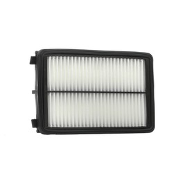 RIDEX 8A0648 Engine Air Filter Recirculation Filter