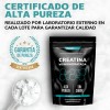 Creatina Monohidratada Micronizada en Polvo | Pre Workout - 100%