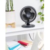 HOLMES BLIZZARD 7" Table Fan, 2 Speeds, 3 Blades, 85°
